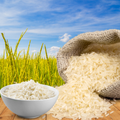 Basmati Rice wholesale A quality